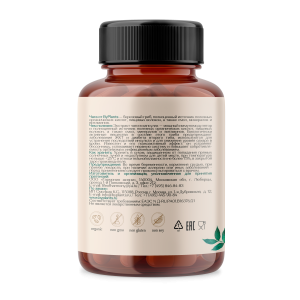 ByPlants Chaga extract 60 капс