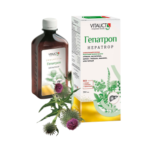 Vitauct Гепатроп 250 мл
