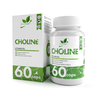 NaturalSupp Choline (vit B-4) 60 капс